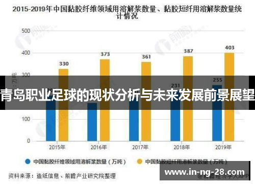 青岛职业足球的现状分析与未来发展前景展望